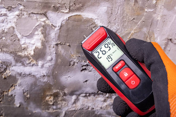 Best Emergency Mold Remediation in Maysville, OK
